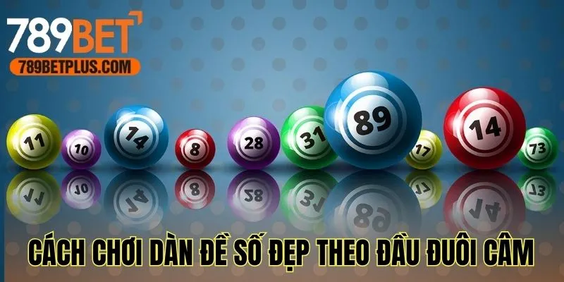 Cách chơi dàn đề số đẹp hôm nay theo đầu đuôi câm