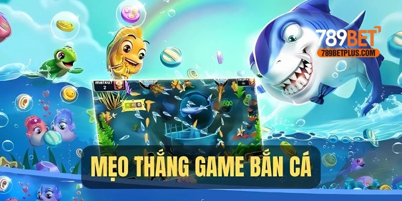 Áp dụng chiến lược bắn ria hiệu quả