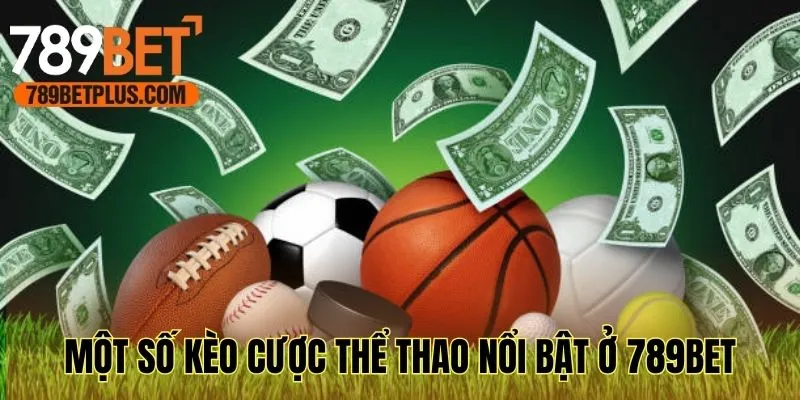 Tổng hợp một số kèo cược thể thao nổi bật ở 789bet